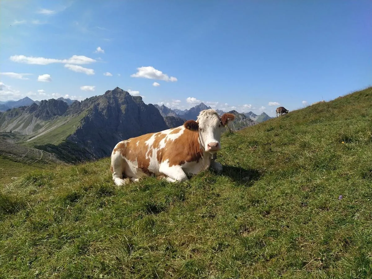 Ferienwohnung Zum Bartelt Hohenschwangau 0*,  Németország